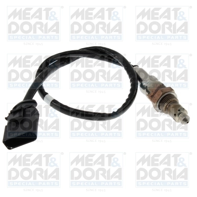 Oxygen Sensor